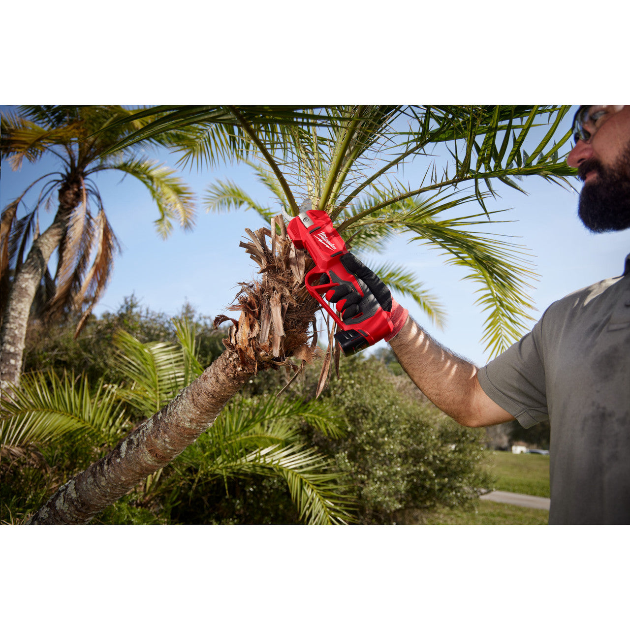Milwaukee 2534-20 M12 Brushless Pruning Shears with FREE 4.0Ah Battery with Charger