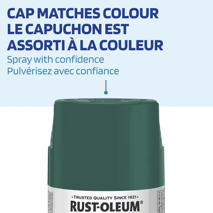 Rust-Oleum Painter's Touch 2X Ultra Cover Satin Seaside Spray Paint | 340 g