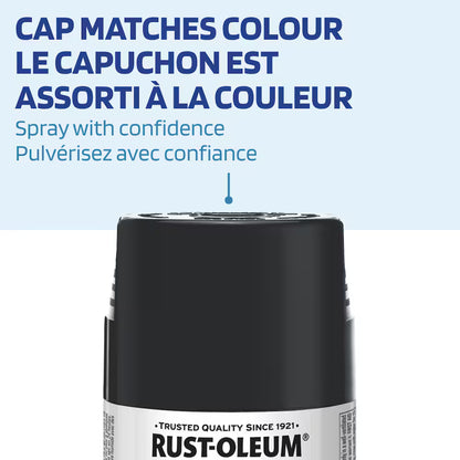 Rust-Oleum Painter's Touch 2X Ultra Cover Satin Seaside Spray Paint | 340 g
