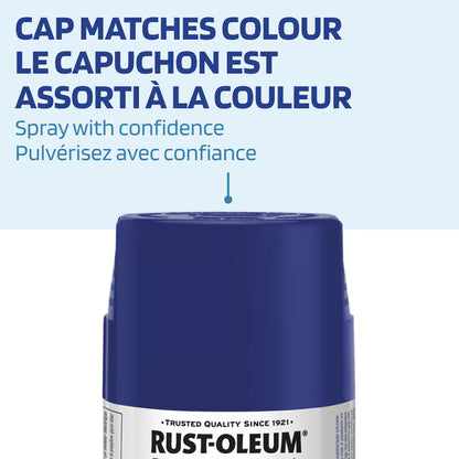 Rust-Oleum Painter's Touch 2X Ultra Cover Satin Seaside Spray Paint | 340 g