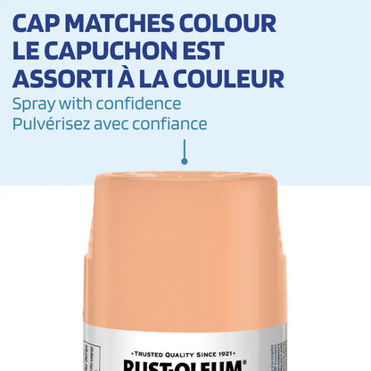 Rust-Oleum Painter's Touch 2X Ultra Cover Satin Seaside Spray Paint | 340 g
